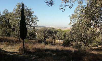 Ermita de San Isidro Labrador - Tres Arroyos