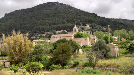 Franciscanas Hijas de la Misericordia