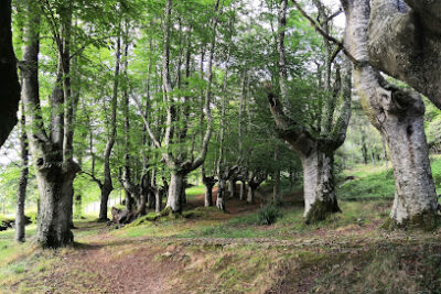 Ermita de Santutxo - Parque natural de Urkiola